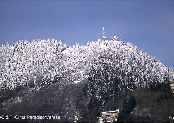 campo dei fiori neve