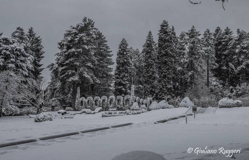 Passeggiando nella neve in Villa Toeplitz...
