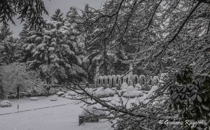 Passeggiando nella neve in Villa Toeplitz...