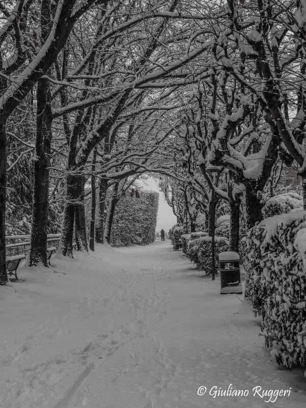 Passeggiando nella neve in Villa Toeplitz...