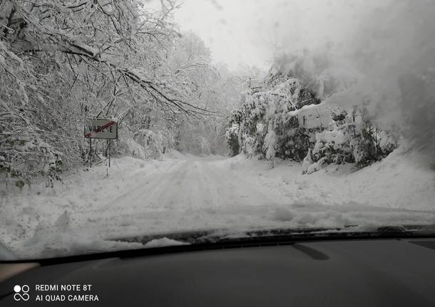 castiglione neve