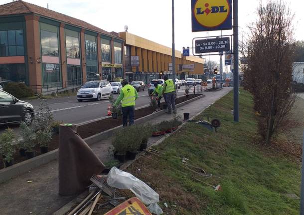 Cislago, verso la conclusione dei lavori alla rotatoria di via Cesare Battisti. Cartabia: “Fatti, non parole”