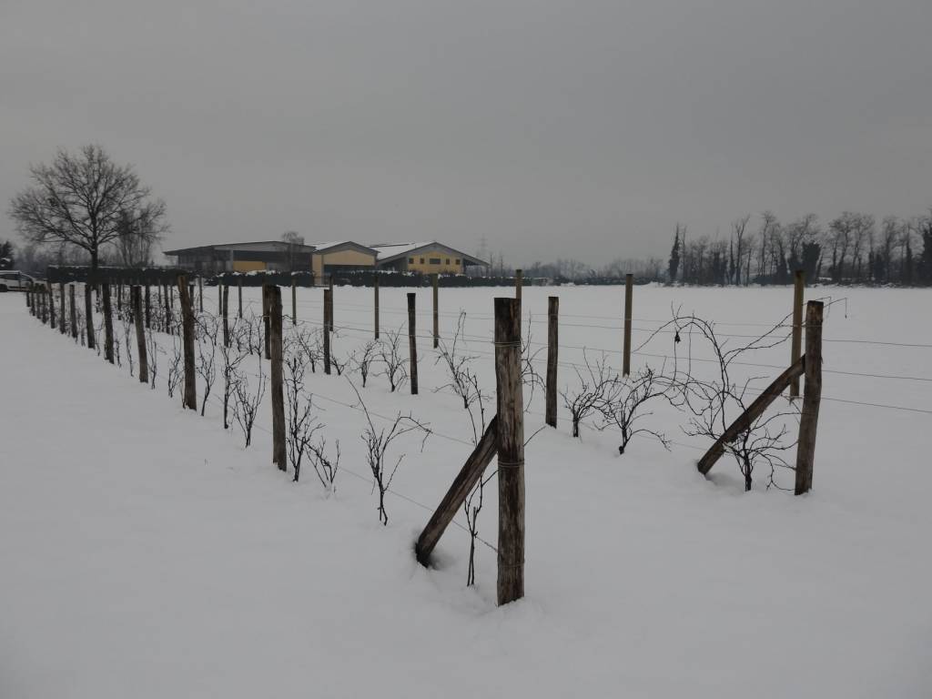 Con la neve il Parco dei Mughetti si veste di bianco 