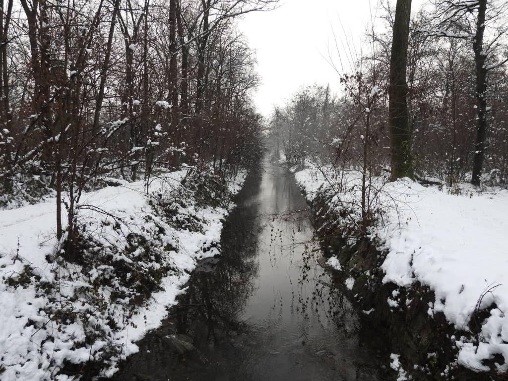 Con la neve il Parco dei Mughetti si veste di bianco 