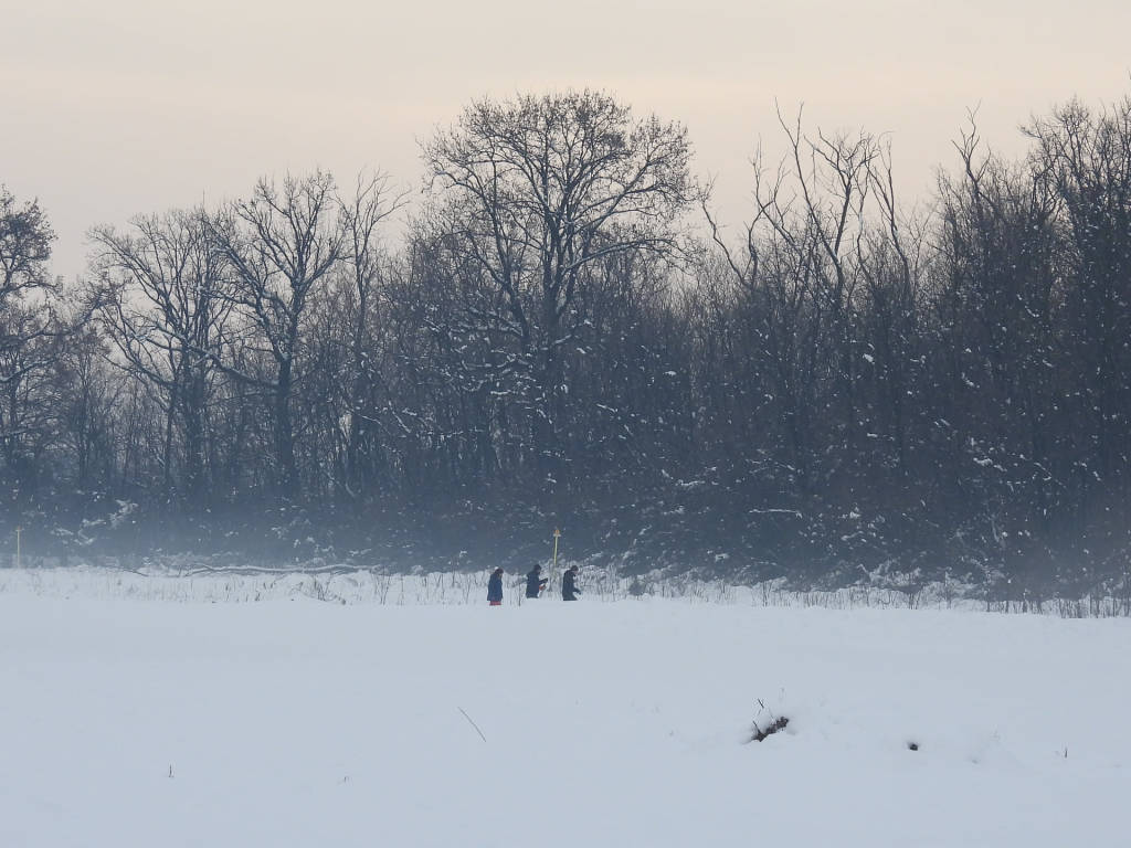 Con la neve il Parco dei Mughetti si veste di bianco 