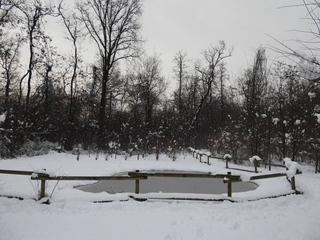 Con la neve il Parco dei Mughetti si veste di bianco 