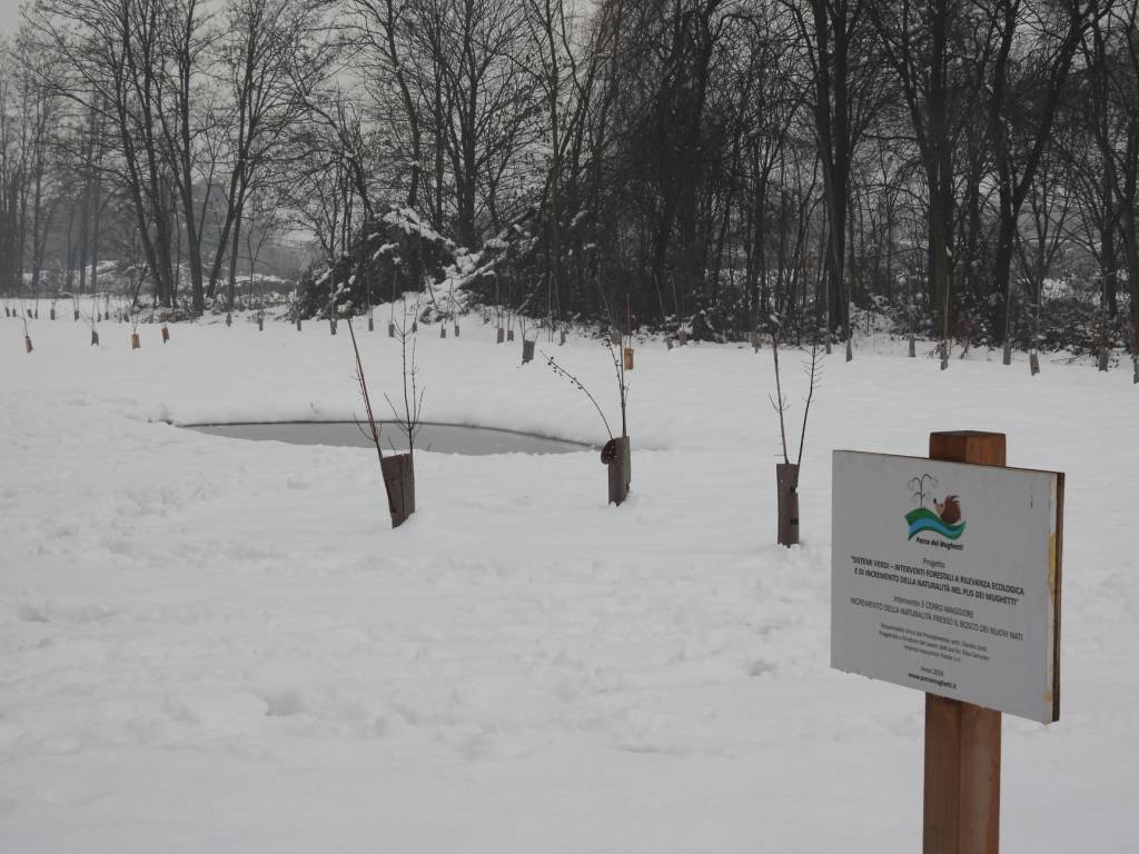 Con la neve il Parco dei Mughetti si veste di bianco 