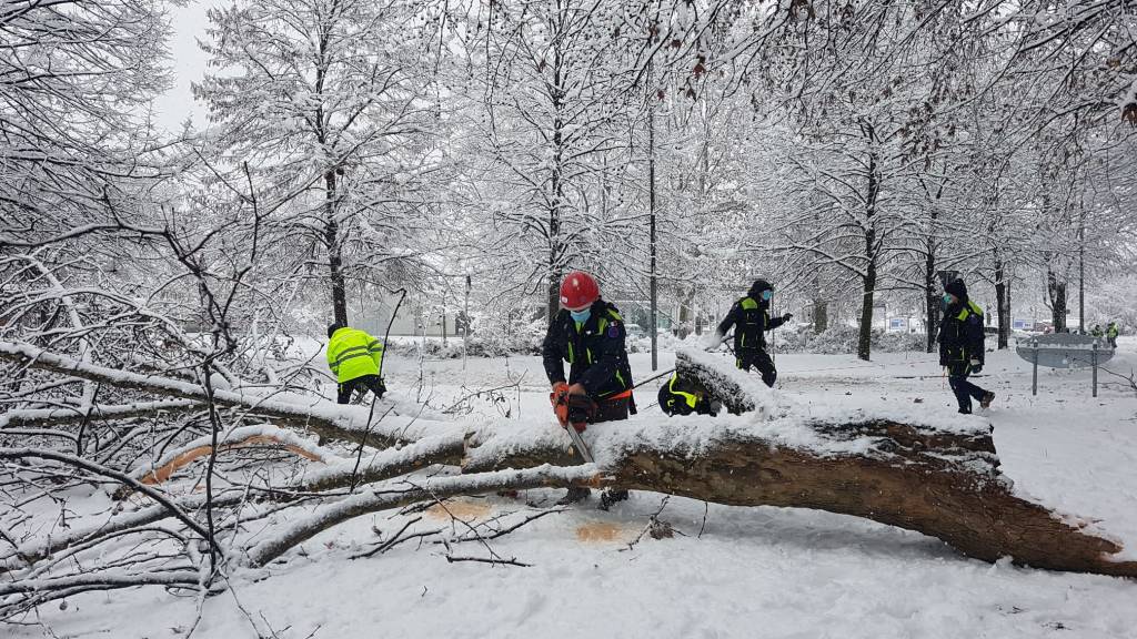 Gli interventi della Prociv Legnano per la nevicata