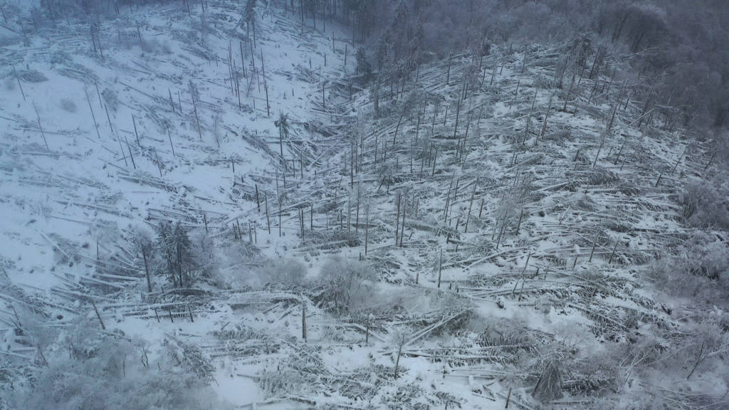 Il campo dei fiori sotto la neve