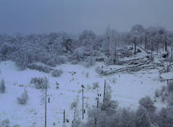 Il campo dei fiori sotto la neve