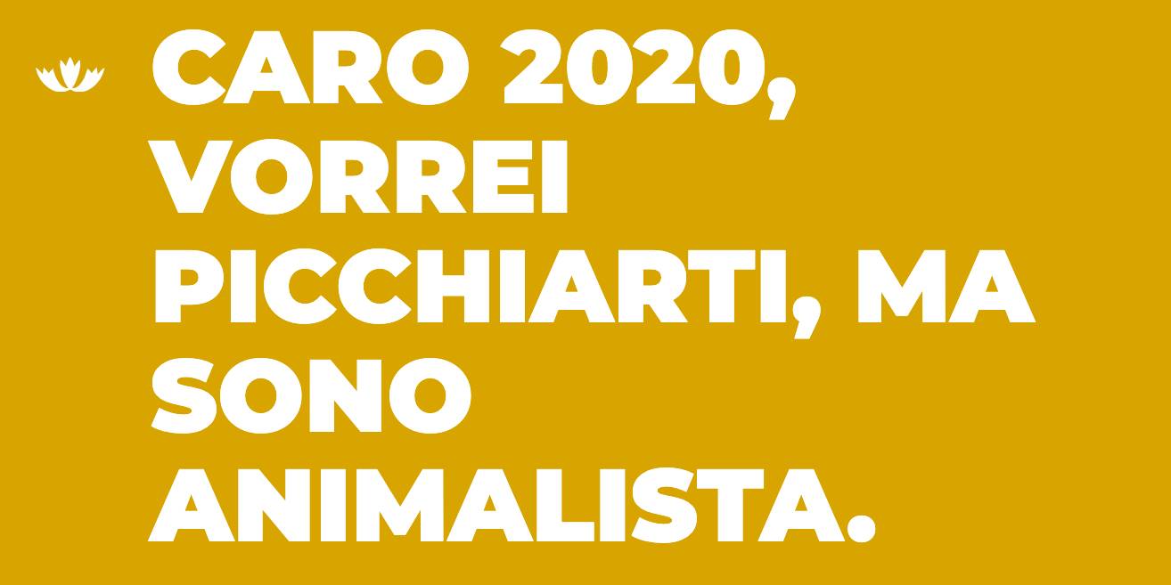 Insulta il 2020