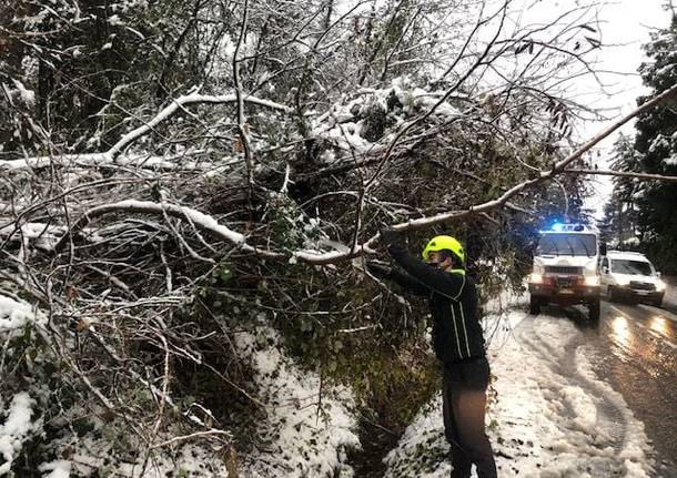 Interventi della Protezione Civile di Laveno per maltempo 