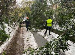 Interventi della Protezione Civile di Laveno per maltempo 