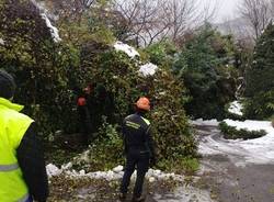 Interventi della Protezione Civile di Laveno per maltempo 