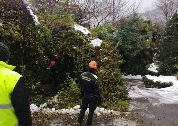 Più di venti interventi della protezione civile di Laveno Mombello e Sangiano per il maltempo