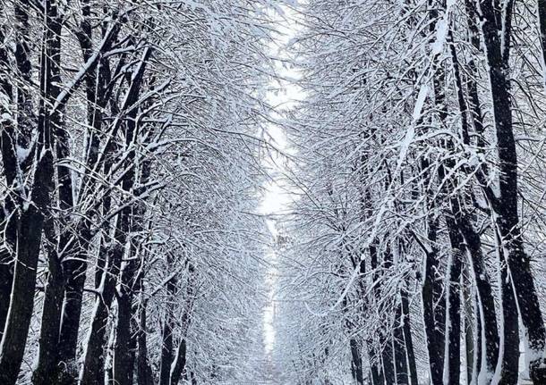 La neve imbianca i Comuni del Saronnese