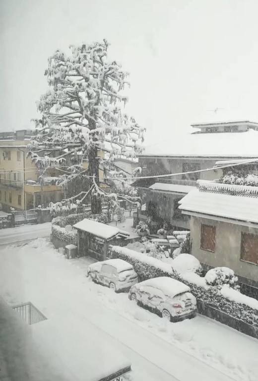 La neve imbianca i Comuni del Saronnese