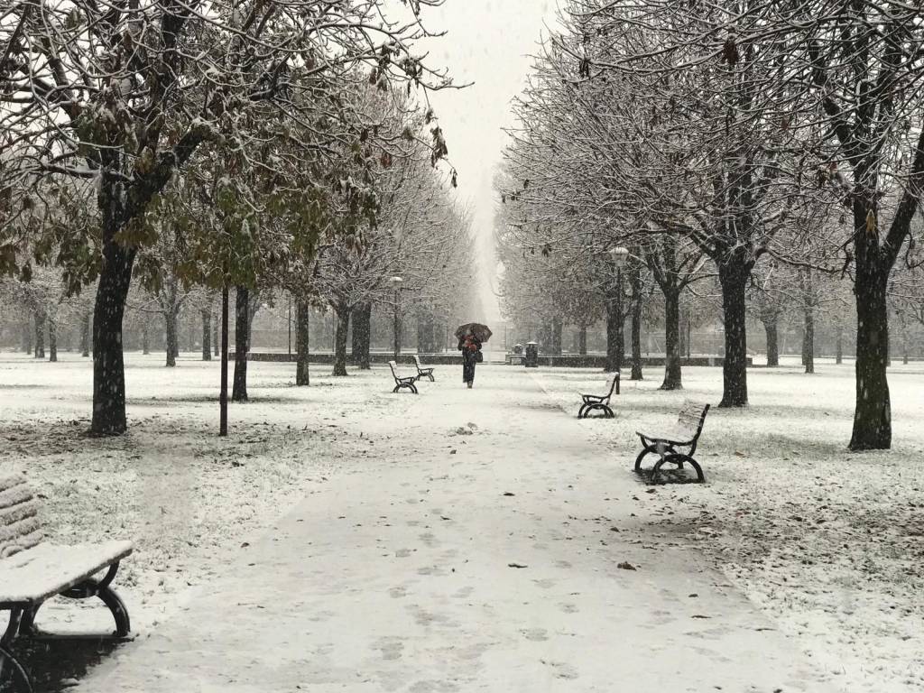 La neve sul Saronnese 