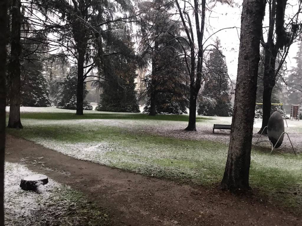 La neve sul Saronnese 