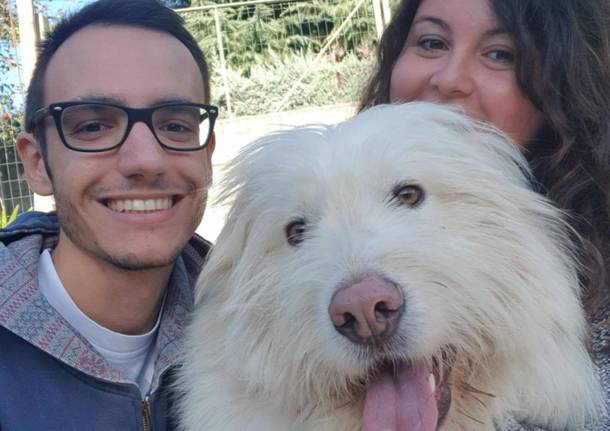 Abbandonato nei boschi, il cane Christmas ha trovato una famiglia