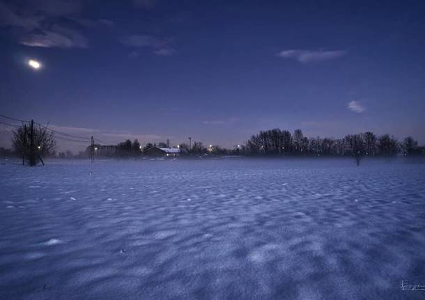 La tundra a Gerenzano
