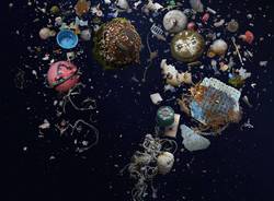 La vita degli abissi invasa dalla plastica nelle immagini di Mandy Barker 