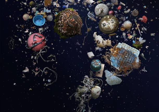 La vita degli abissi invasa dalla plastica nelle immagini di Mandy Barker 