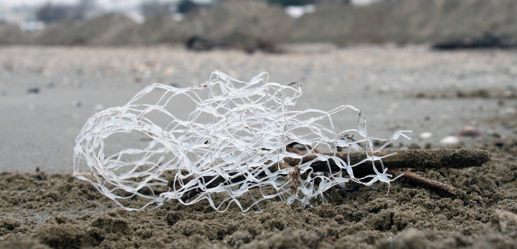 La vita degli abissi invasa dalla plastica nelle immagini di Mandy Barker 