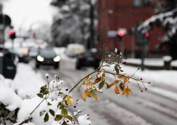 legnano neve