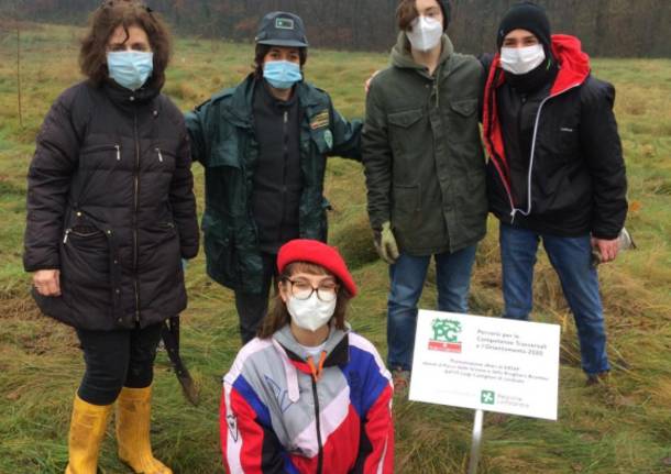 Limbiate, Parco Groane e l'Istituto Castiglioni collaborano... per un nuovo bosco