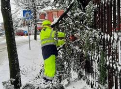 Mattinata di lavoro per la Protezione Civile di Caronno, volontari impegnati nella pulizia delle strade