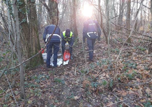 Ripulito il bosco dello spaccio