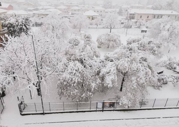 neve a cerro maggiore