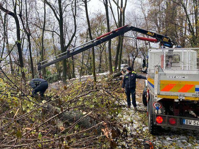 neve caravate protezione civile