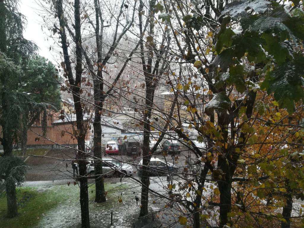 Neve nel Legnanese