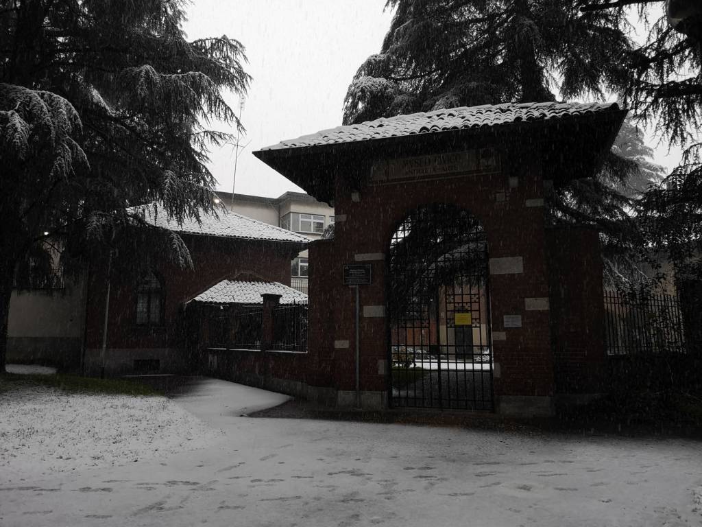 Neve sul Legnanese