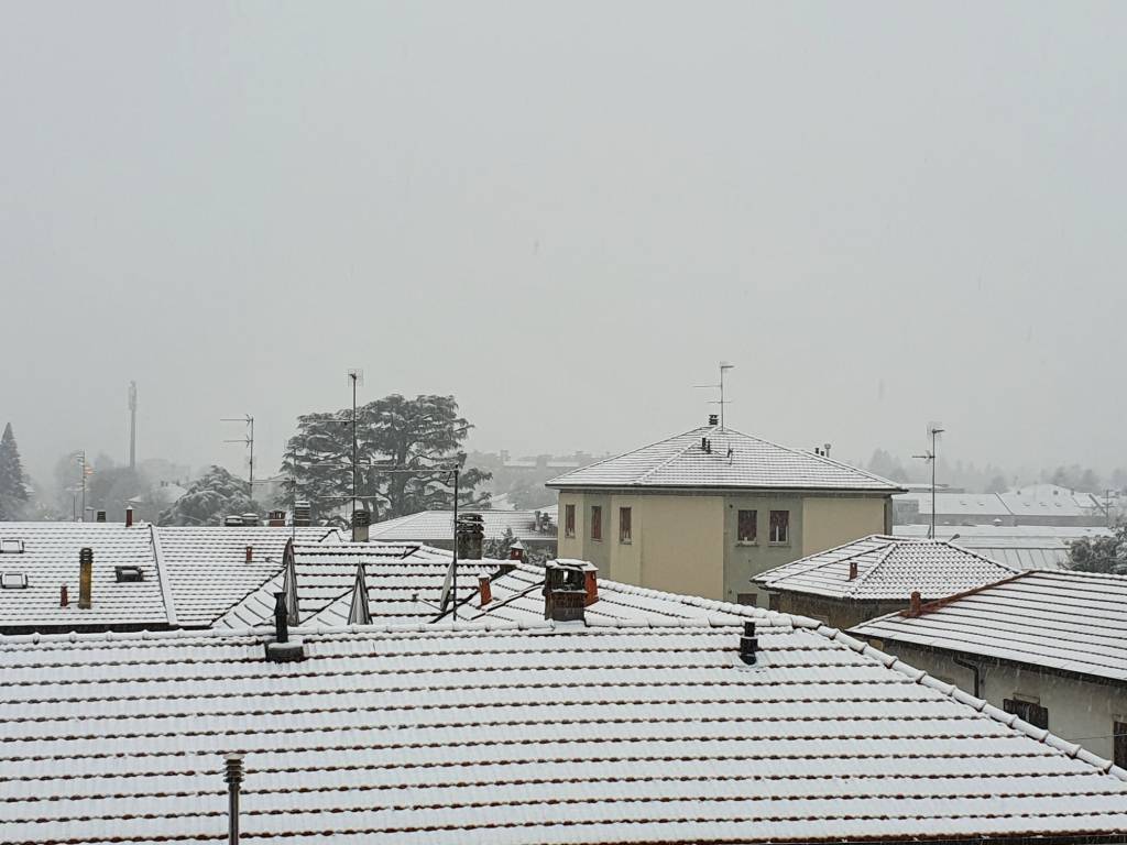 Neve sul Legnanese