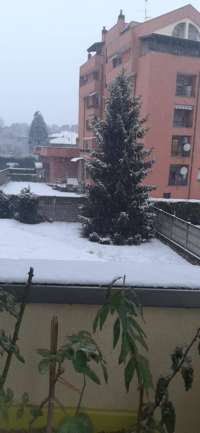 Neve sul Legnanese