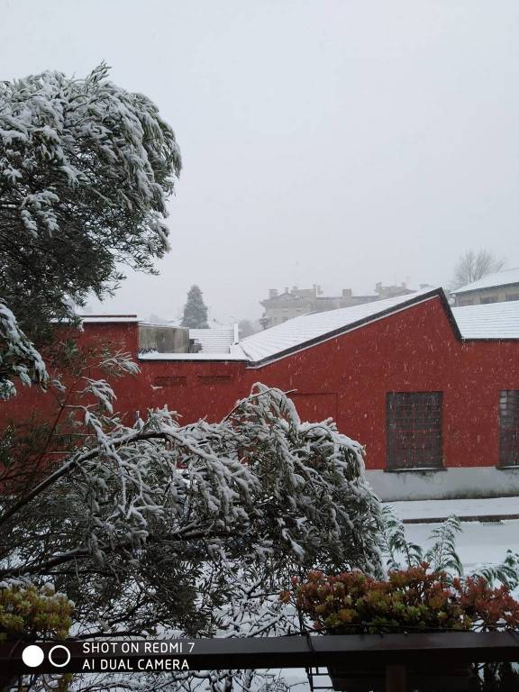 Neve sul Legnanese