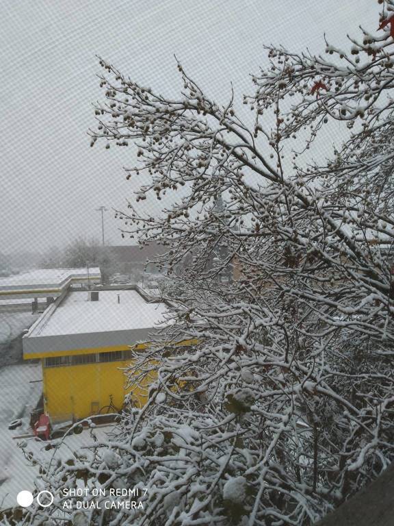 Neve sul Legnanese