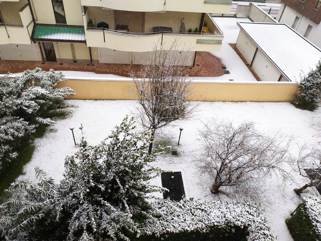 Neve sul Legnanese