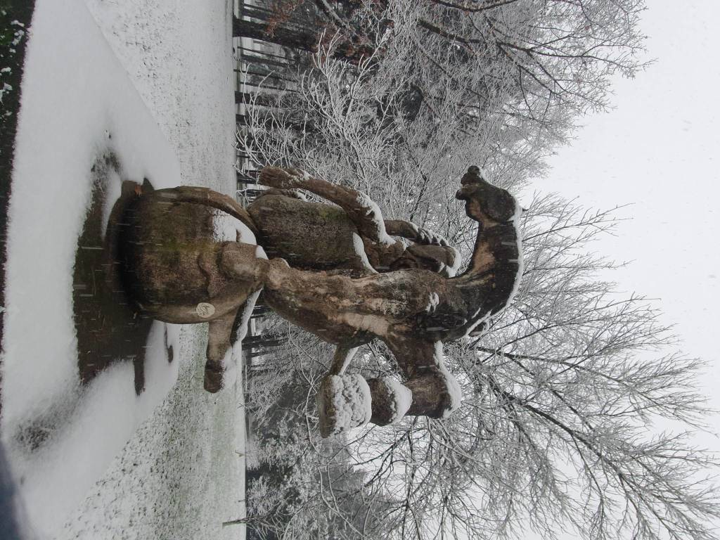 Neve sul Legnanese