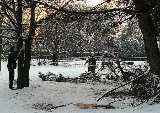 Neve sul Legnanese, rami caduti a San Giorgio e Canegrate