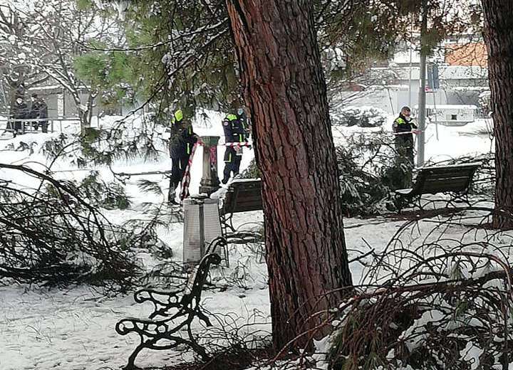 Neve sul Legnanese, rami caduti a San Giorgio e Canegrate