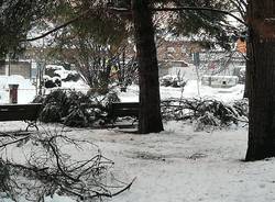 Neve sul Legnanese, rami caduti a San Giorgio e Canegrate