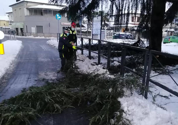 Neve sul Legnanese, rami caduti a San Giorgio e Canegrate