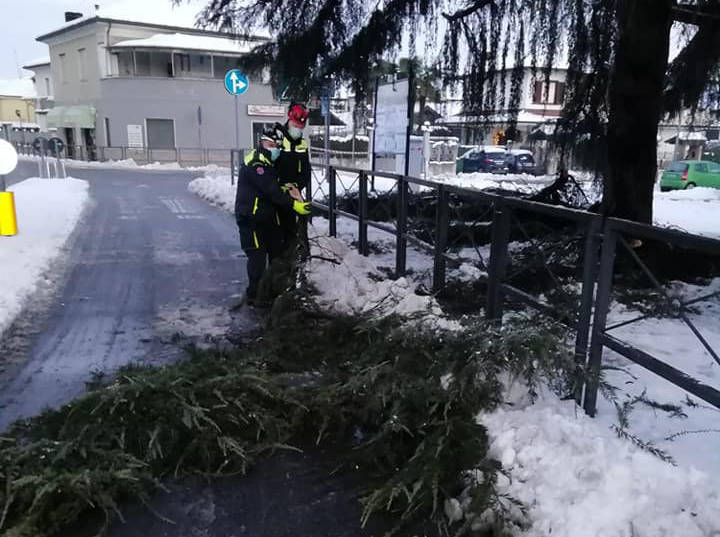 Neve sul Legnanese, rami caduti a San Giorgio e Canegrate