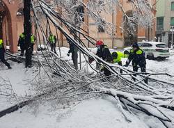 Nevicata 28 dicembre Legnano e Alto Milanese