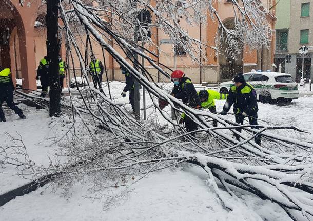 Nevicata 28 dicembre Legnano e Alto Milanese