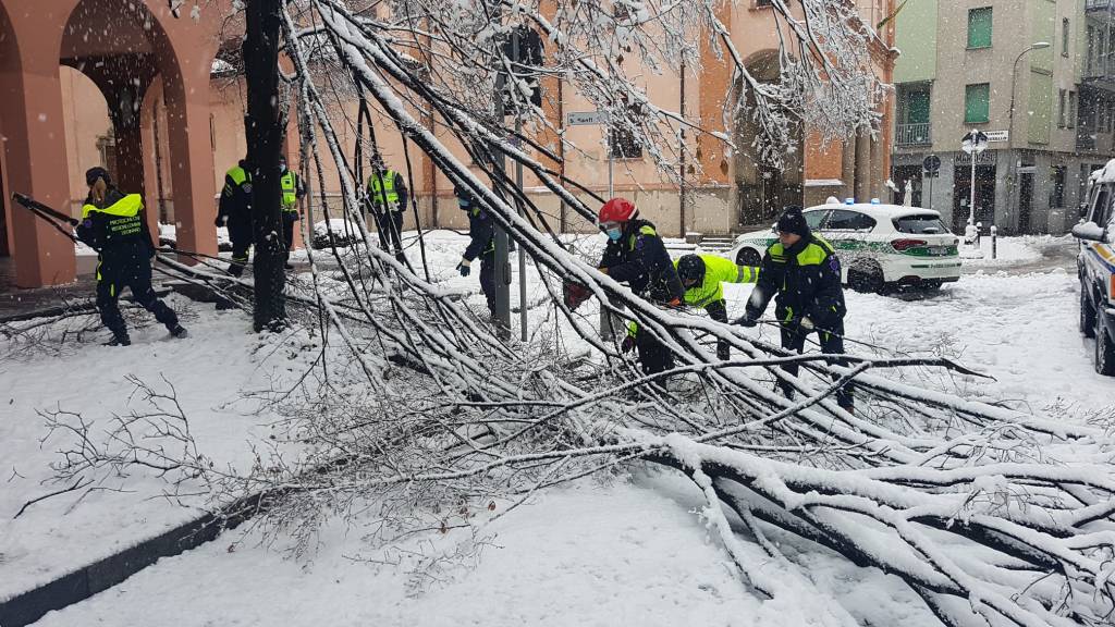 Nevicata 28 dicembre Legnano e Alto Milanese